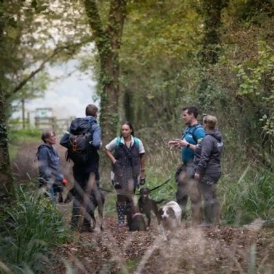 Real world environmental dog training