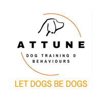 Attune Dog Training