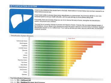 Detoxification system chart showing stressors and top detoxification balancers.