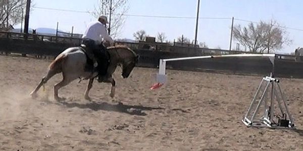 The Compass Horse Connector teaches a horse to lock on to a cow and allows the rider to train a reined cow horse to circle a cow without the unpredictability of a live cow