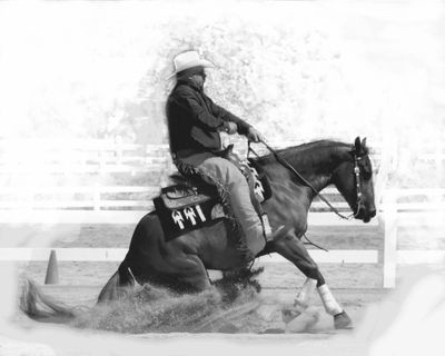 Vaughn Knudsen demonstrating a sliding stop. Mindful Horsemanship clinics and workshops create a connection bringing harmony and partnership to you and your horse.