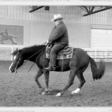 Vaughn Knudsen training a horse to perform a balanced spin.