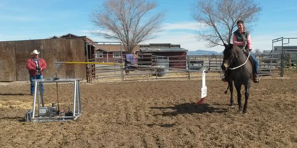 From beginning riding through finished horse training, the Compass Horse Connector can work at your level to build confidence in both horse and rider.