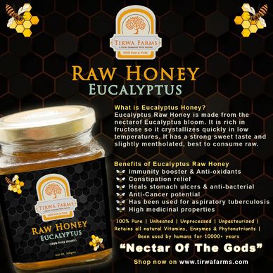 Raw Eucalyptus Honey