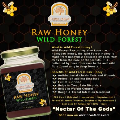 Raw Wild Forest Honey