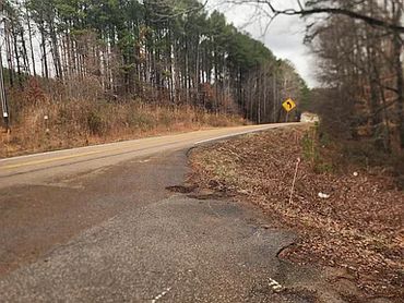 View of empty road junction through woods.