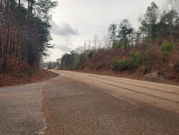 Long stretch of road bordering wooded land.