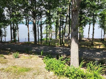 White house surrounded by dense green forest.