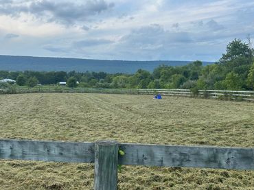 100’x200’ After our crews mowed the over grown vegetation. Next step relocate arena for convenience