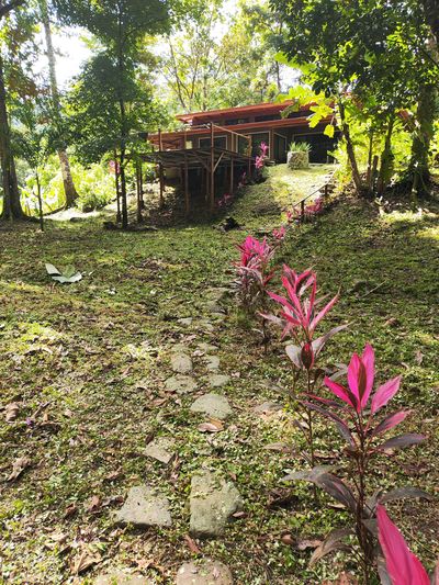 Your beautiful riverside cabin awaits with a refinished sun deck and stone pathway to the river.