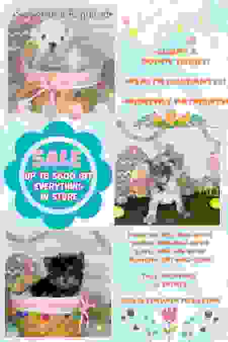 image429