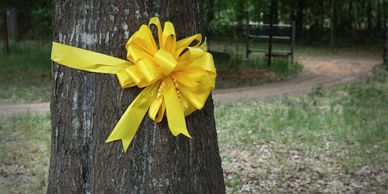 Life & Veteran Tributes - Largo Free Press provide commemorative public announcements for loved ones