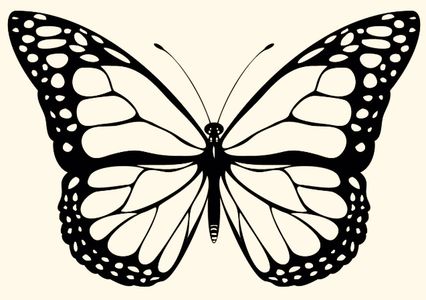 Monarch Butterflies are an Endangered Species