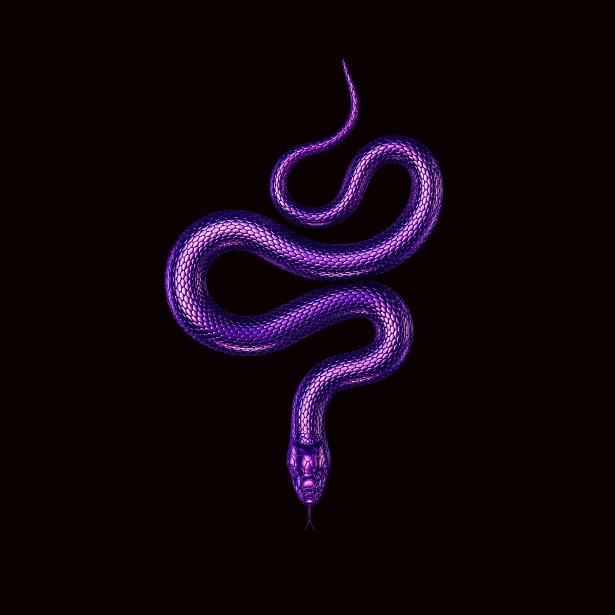 A purple snake on a black background.