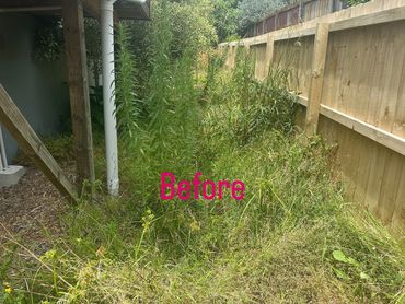 Overgrown backyard area with tall weeds and grass before cleanup.