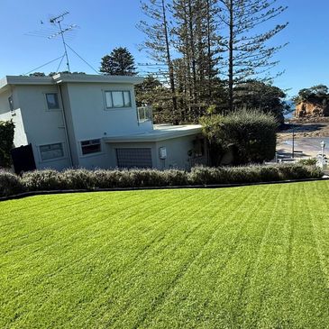 A house with a green lawn overlooking the ocean and rocky shore under a clear blue sky.