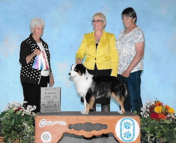 Women With Dog