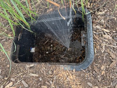 A sprinkler spraying water inside a ground-level irrigation box.