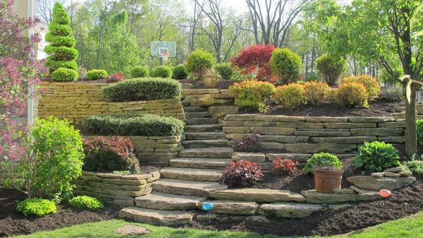 Landscape and Lawn Maintenance