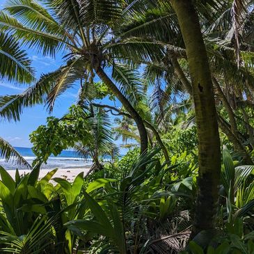 Aride coastal vegetation