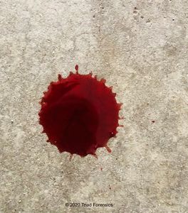A single blood drop on smooth surface can tell a reconstructionist a lot about an event.   