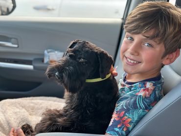 Rubybonnet Miniature Schnauzers go places with us.