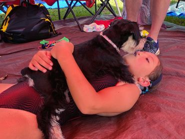 Our miniature schnauzer puppy loves swim meets.