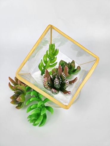 Simi Isomalt Terrarium