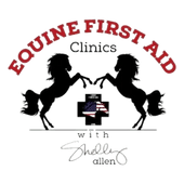 Equine First Aid and More