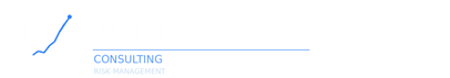 LSN CONSULTING