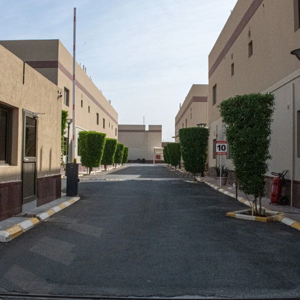 Quiet street between buildings with neatly trimmed trees and a speed limit sign.