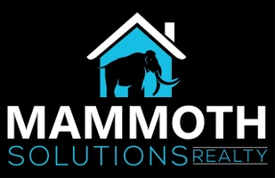Mammoth Solutions website