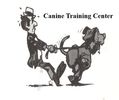 Dog Training Classes Westfield MA