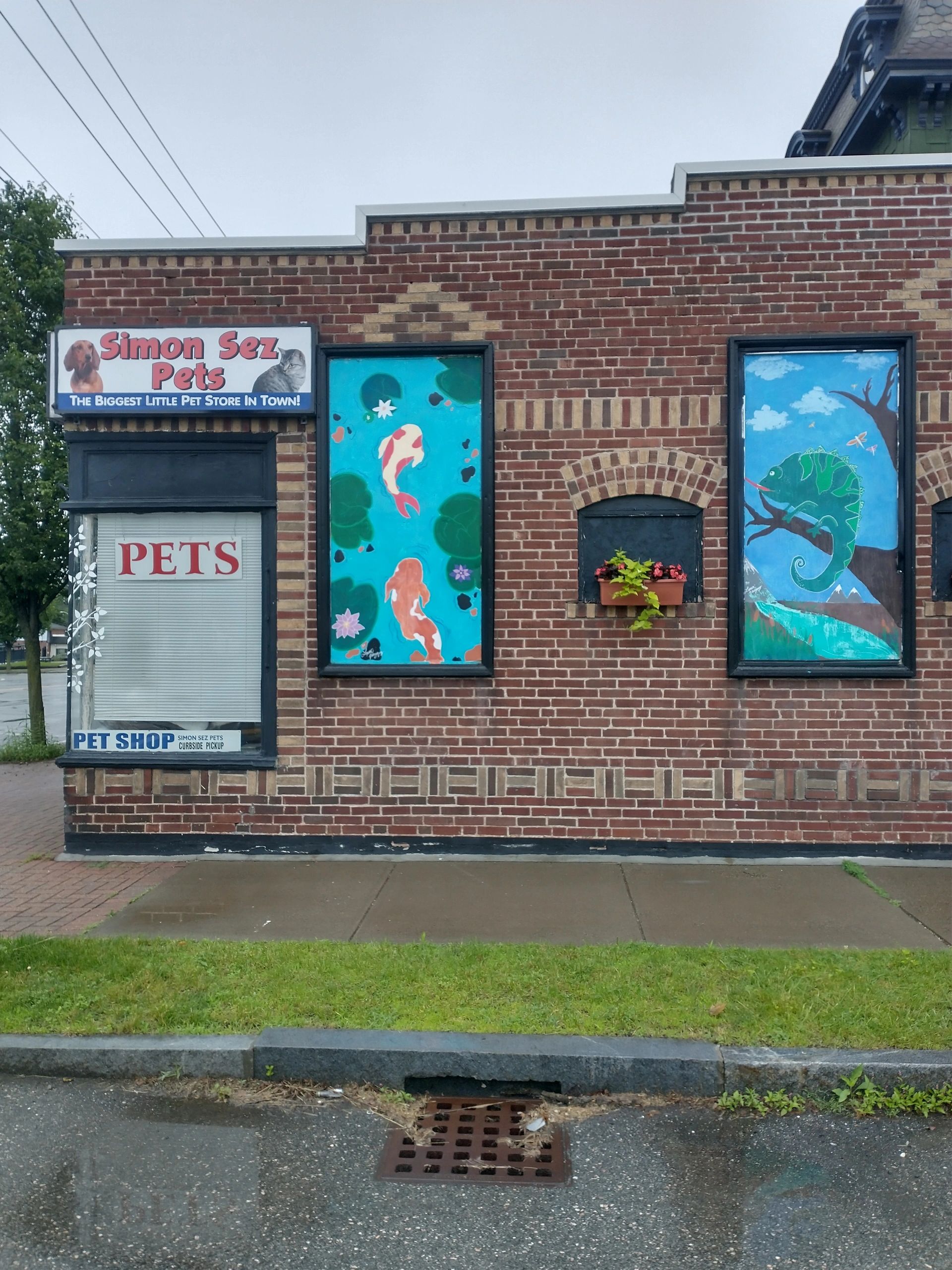 Simon Sez Pets, LLC gallery