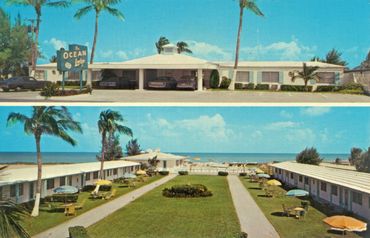 Vintage postcard of The Ocean Lodge motel with palm trees and ocean views.