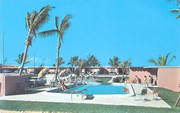 People enjoying a sunny day at a motel pool surrounded by palm trees.