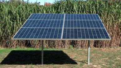 LeafSolo ground mount solar panel array
