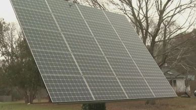 LeafSolo ground mount solar panel array