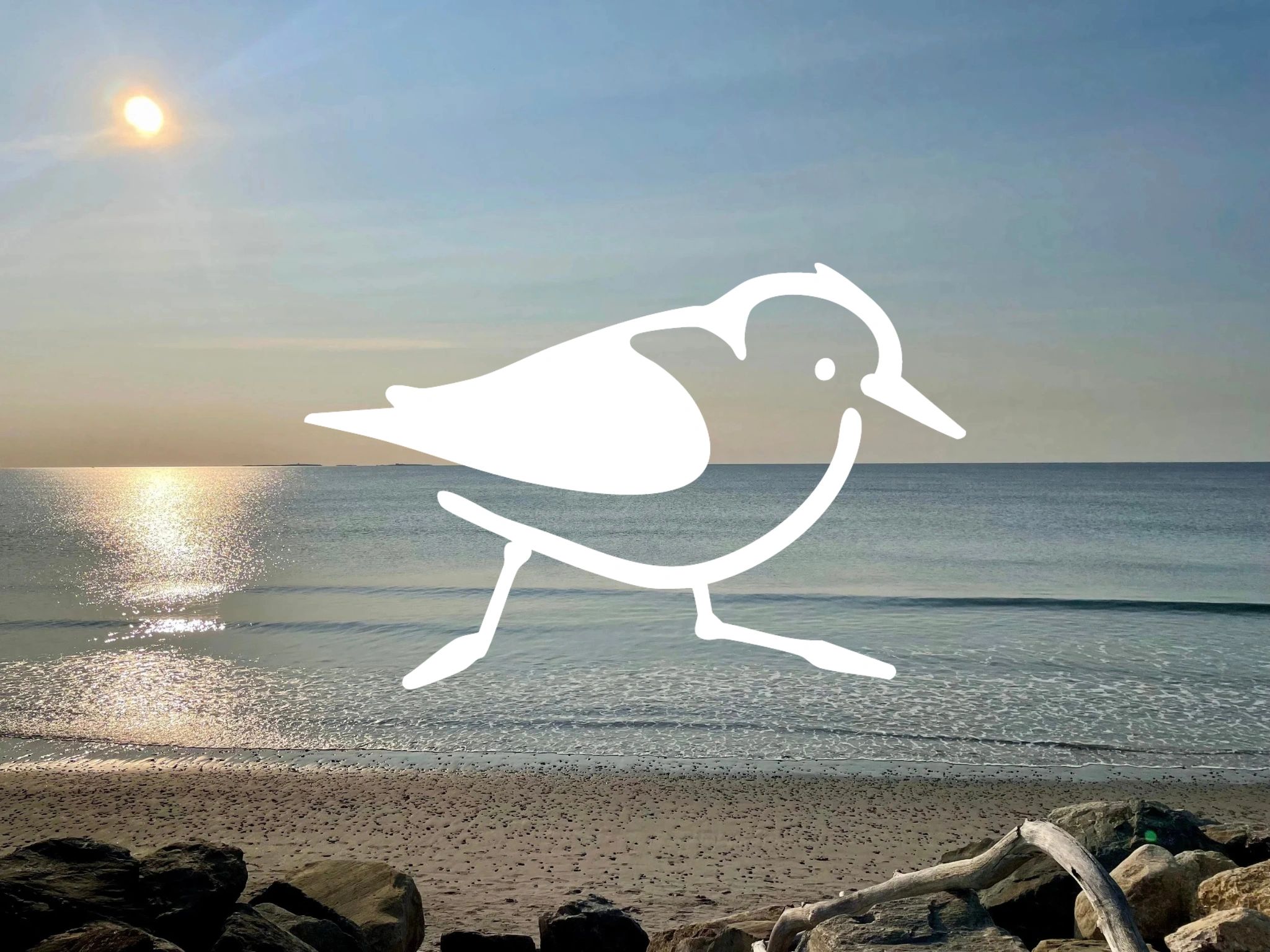 Sunlit beach with calm waves and a sandpiper graphic overlay.