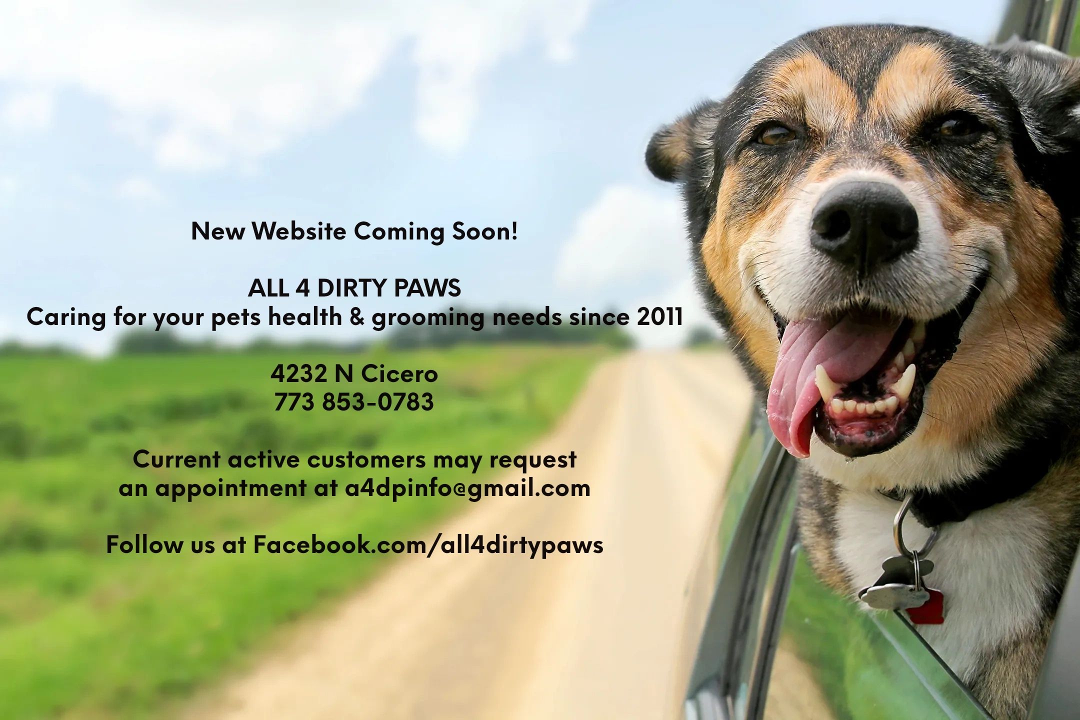 All 4 Dirty Paws