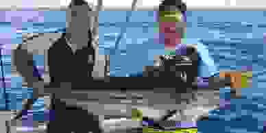 gold coast Seasonal fishing guide, January.