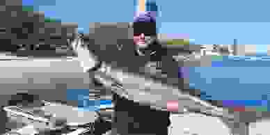 Cobia fishing gold coast fgc