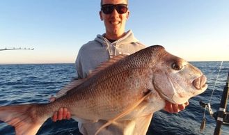 Snapper season gold coast