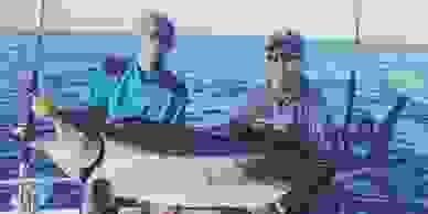 Gold coast game fishing charter