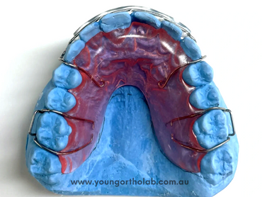 Hawlet with Labial Bow