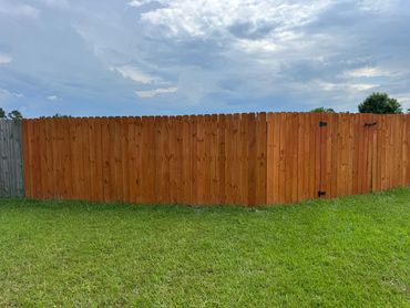 Cedar stained pine, privacy fence