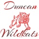 Duncan Unified School District No 2
