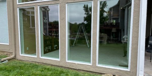 Large glass windows with reflection of outdoor greenery.