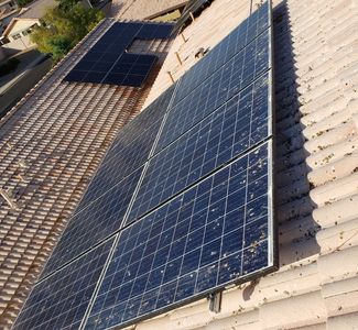 Pigeon removal trapping control deterrent pests solar panels repellent roosting nesting