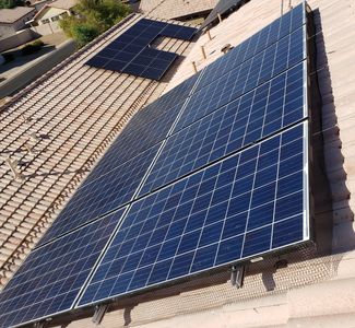 Pigeon removal trapping control deterrent pests cleaning solar panels repellent roosting nesting